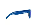 Oakley Frogskins OO 9013 J4 55 Men sunglasses