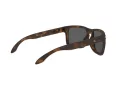 Oakley Holbrook 9102 F4 57 Men sunglasses