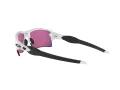 Oakley Flak 2.0 Xl OO 9188 03 59 Men sunglasses