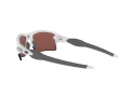 Oakley Flak 2.0 Xl OO 9188 82 59 Men sunglasses