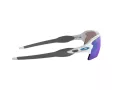 Oakley Flak 2.0 Xl OO 9188 94 59 Men sunglasses