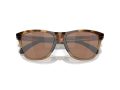 Oakley Frogskins Range OO 0OO9284 928407 55 Men sunglasses