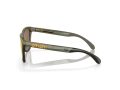 Oakley Frogskins Range OO 0OO9284 928408 55 Men sunglasses
