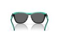 Oakley Frogskins Range OO 9284 10 55 Men sunglasses