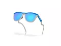 Oakley Frogskins Hybrid OO 9289 03 55 Men sunglasses