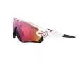 Oakley Jawbreaker OO 9290 05 131 Men sunglasses