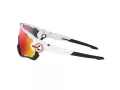 Oakley Jawbreaker OO 9290 05 131 Men sunglasses