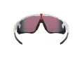 Oakley Jawbreaker OO 9290 05 131 Men sunglasses