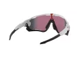 Oakley Jawbreaker OO 9290 05 131 Men sunglasses
