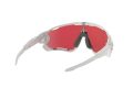 Oakley Jawbreaker OO 9290 21 31 Men sunglasses