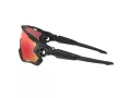 Oakley Jawbreaker OO 9290 48 131 Men sunglasses