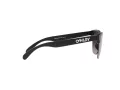 Oakley Frogskins Lite OO 9374 49 63 Men sunglasses