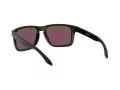 Oakley Holbrook Xl OO 9417 21 59 Men sunglasses