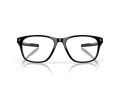 Oakley Cerebral OX 8187 05 55 Men glasses