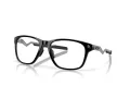 Oakley Cerebral OX 8187 05 57 Men glasses