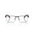Polo PH 1229 9223 54 Men glasses