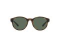 Polo PH 4176 5003/71 51 Men sunglasses