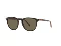Polo PH 4181 5260/3 51 Men sunglasses