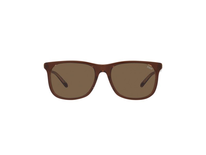 Polo PH 4186U 6029/73 55 Men sunglasses
