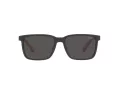 Polo PH 4189U 537587 55 Men sunglasses