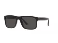 Polo PH 4195U 500187 57 Men sunglasses