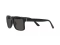 Polo PH 4195U 500187 57 Men sunglasses