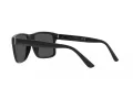 Polo PH 4195U 500187 57 Men sunglasses