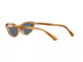 Polo PH 4199U 607980 54 Women sunglasses