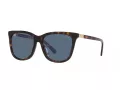 Polo PH 4201U 500380 55 Women sunglasses
