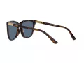 Polo PH 4201U 500380 55 Women sunglasses