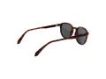 Polaroid PLD 4195/S 086/M9 51 Men sunglasses