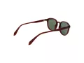 Polaroid PLD 4195/S QGL/UC 51 Men sunglasses
