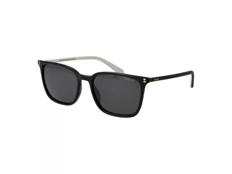 Polaroid PLD 4207/S/X 807/M9 55 Men sunglasses
