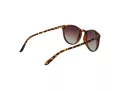 Polaroid PLD 6003/N/S V08/LA 54 Men, Women sunglasses