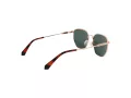 Polaroid PLD 6214/S/X DDB/UC 56 Men, Women sunglasses