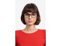 Polaroid PLD D489/G 807 52 Men, Women glasses