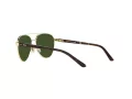 Polo PP 9001 9189/71 51 Children sunglasses