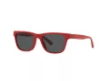 Polo PP 9504U 525787 49 Children sunglasses