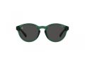 Polo PP 9505U 608487 48 Children sunglasses