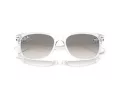 Ray-Ban New Wayfarer RB 2132 677432 55 Men, Women sunglasses