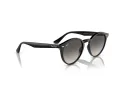 Ray-Ban RB 2180 601/11 51 Men, Women sunglasses