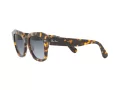 Ray-Ban State Street RB 2186 1332/86 49 Men, Women sunglasses