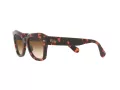 Ray-Ban State Street RB 2186 1334/51 49 Men, Women sunglasses