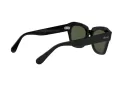 Ray-Ban State Street RB 2186 901/31 49 Men, Women sunglasses