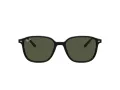 Ray-Ban Leonard RB 2193 901/31 53 Men, Women sunglasses