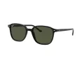 Ray-Ban Leonard RB 2193 901/31 53 Men, Women sunglasses