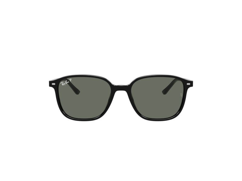 Ray-Ban Leonard RB 2193 901/58 51 Men, Women sunglasses