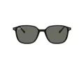 Ray-Ban Leonard RB 2193 901/58 53 Men, Women sunglasses