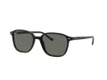 Ray-Ban Leonard RB 2193 901/58 53 Men, Women sunglasses