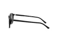 Ray-Ban Leonard RB 2193 901/58 53 Men, Women sunglasses